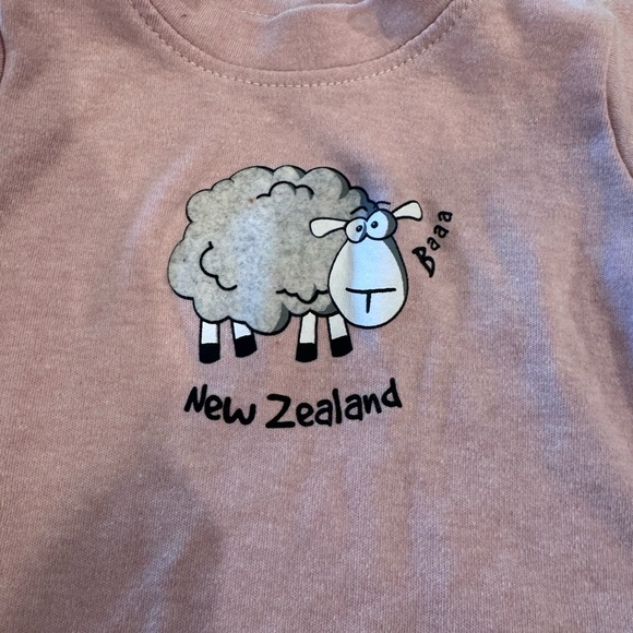 Kiwi & Friends Pink Top, Size 12M - Picture 5 of 6